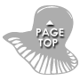 PAGE TOP