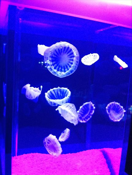 青い海色