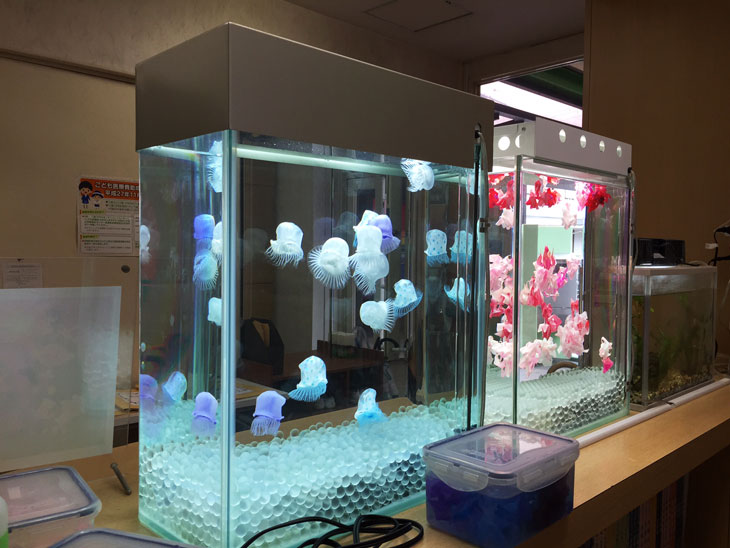 クラゲ水槽