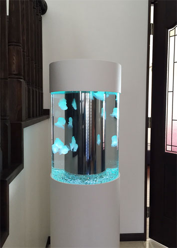 クラゲ水槽