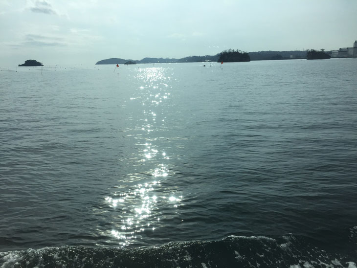 クラゲ水槽