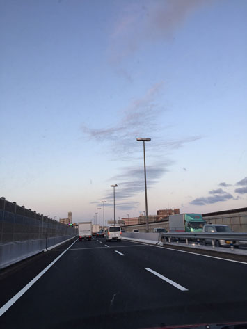 クラゲ水槽