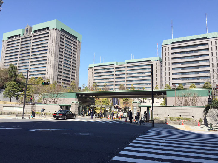 クラゲ水槽