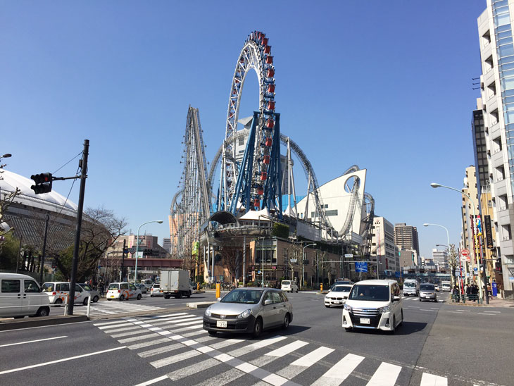 クラゲ水槽