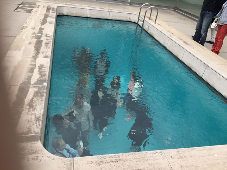 クラゲ水槽
