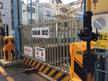 クラゲ水槽