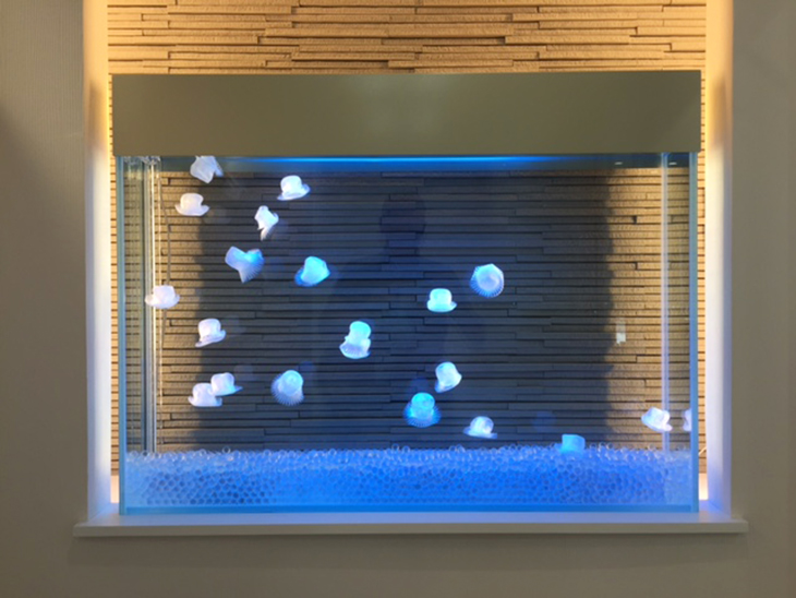 特注のクラゲ水槽