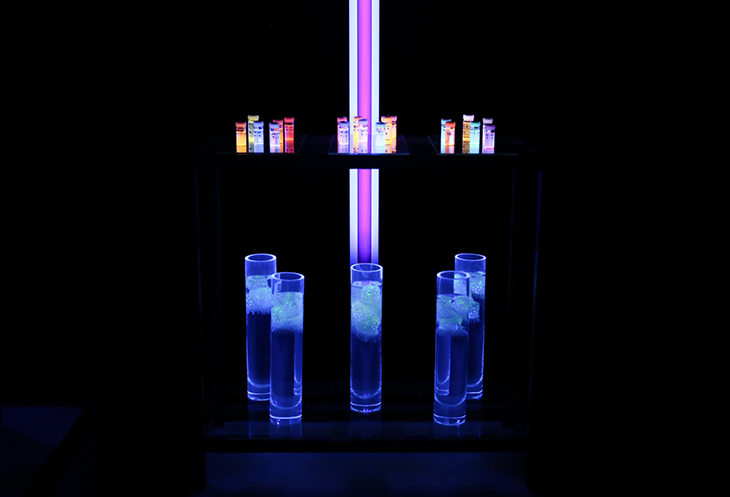 展示の様子