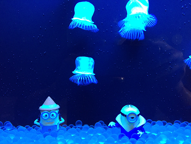ミニオンズとクラゲの水槽