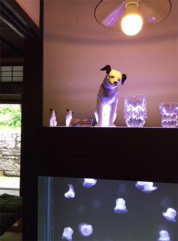 ビクター犬とクラゲ水槽