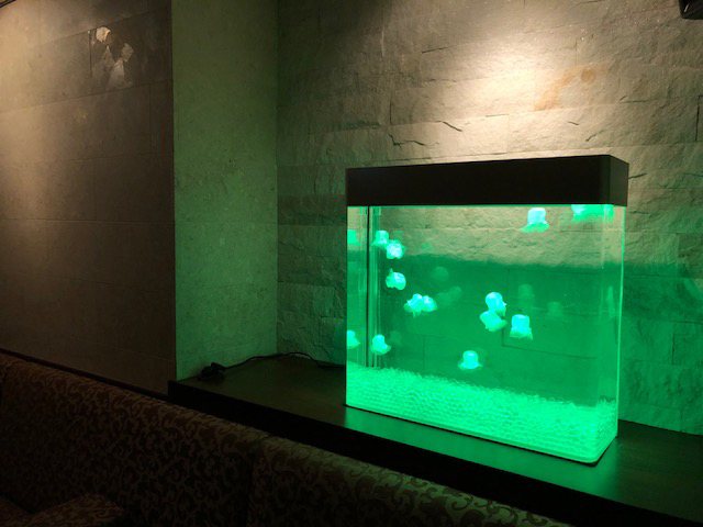 クラゲ水槽