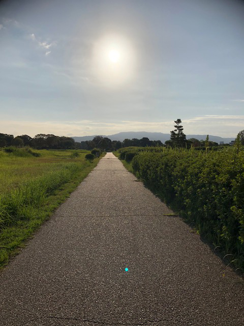 奈良の道