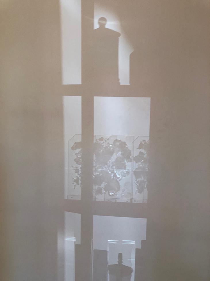 イオンモールでの展示