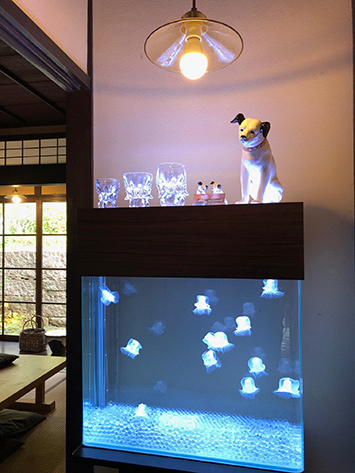 らふぁえろのクラゲ水槽