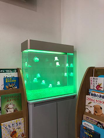 クラゲレンタル水槽