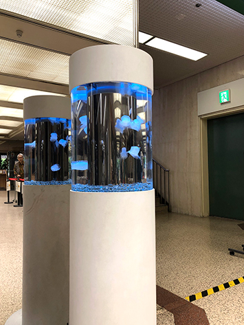 病院のクラゲ水槽