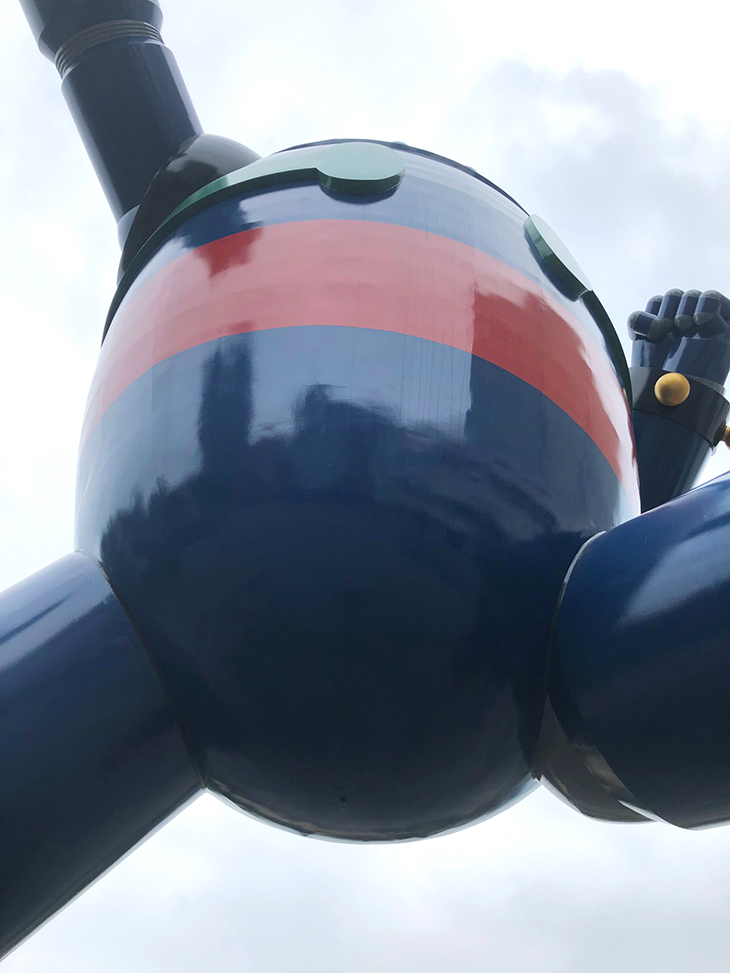 工房のあじさい