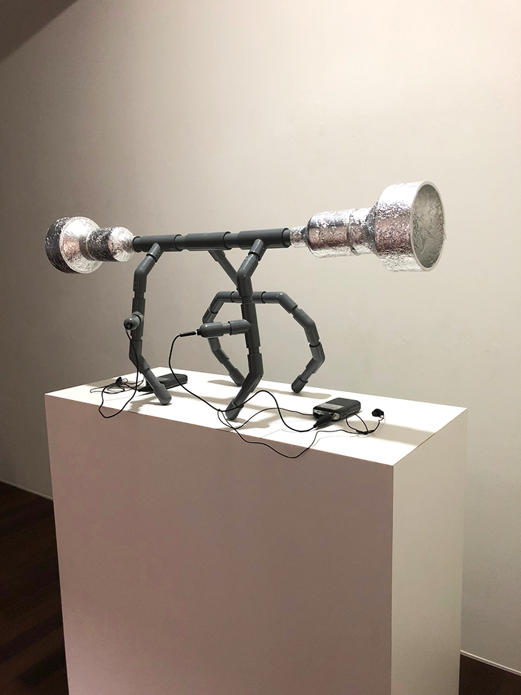展示の様子