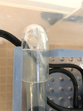 水槽の配管