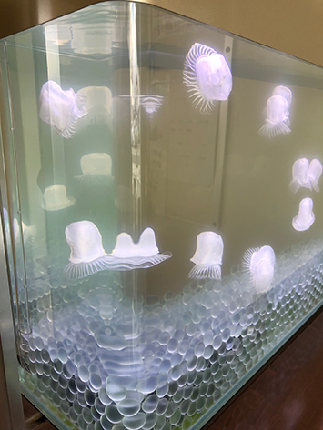 直方体型レンタル水槽