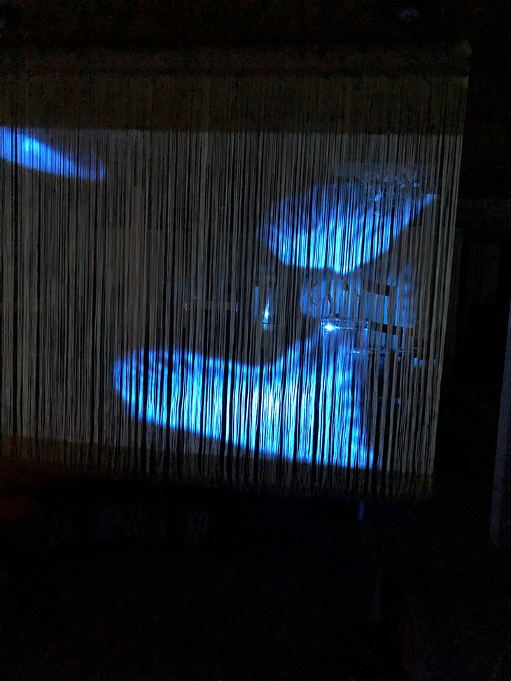 ストリングカーテン