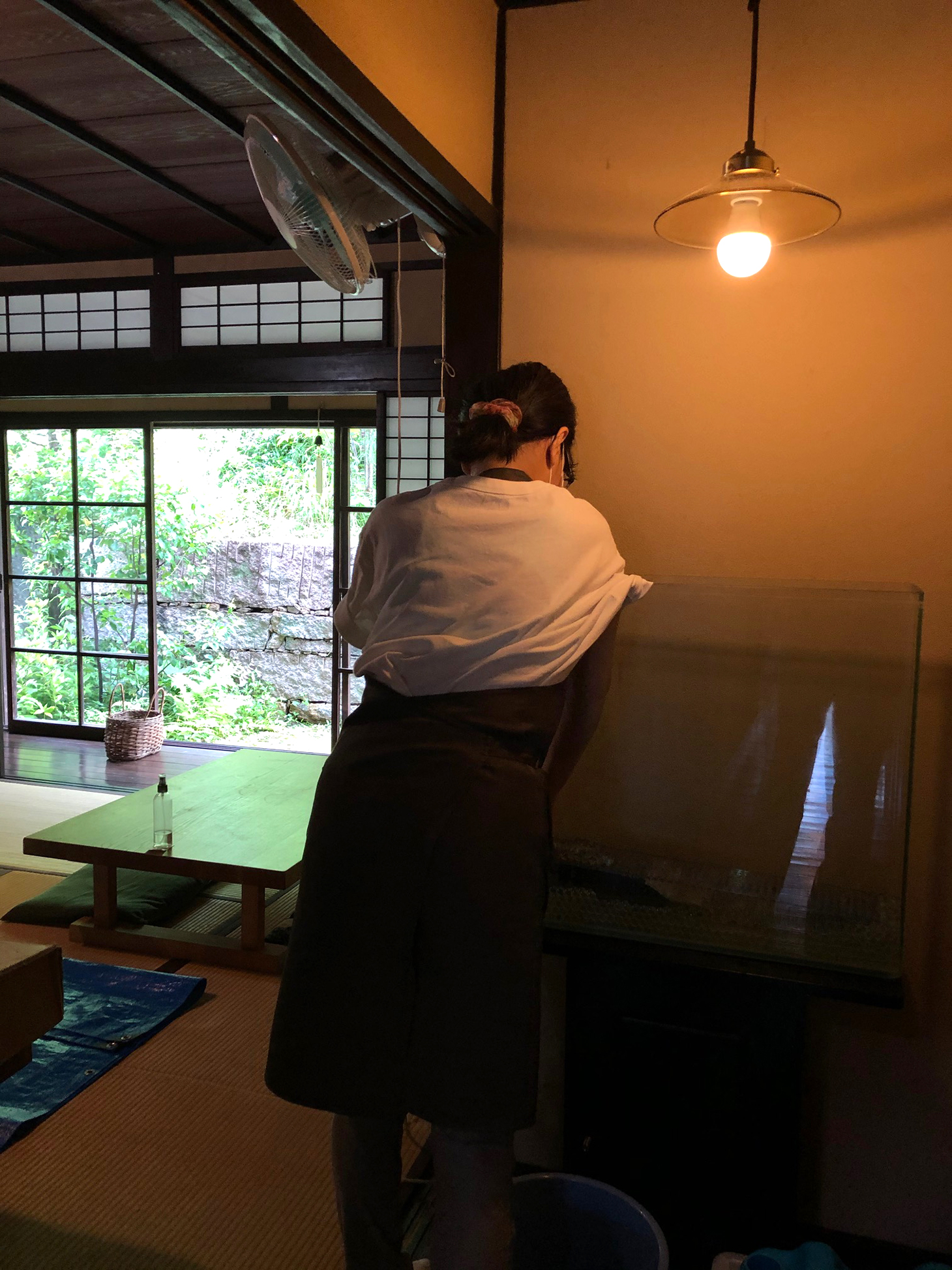 発酵薬膳料理らふぁえろのクラゲ水槽