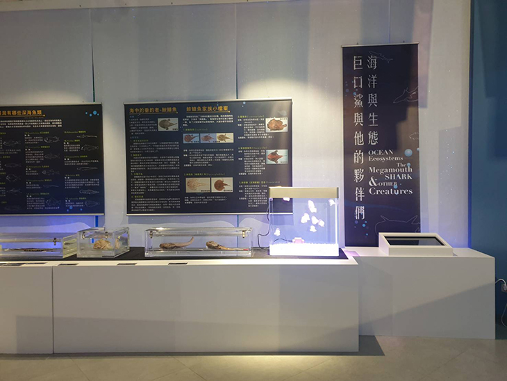 博物館での展示