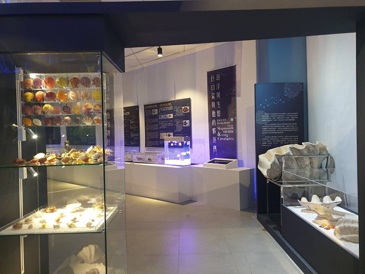 博物館での展示