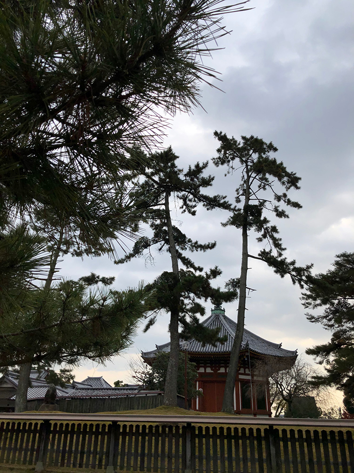 奈良公園