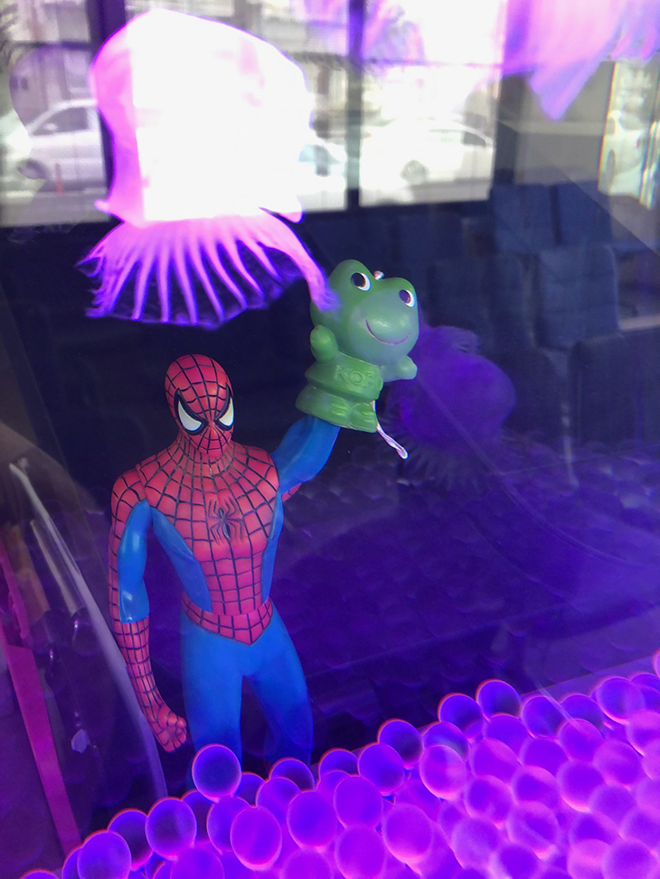 カエルとスパイダーマン