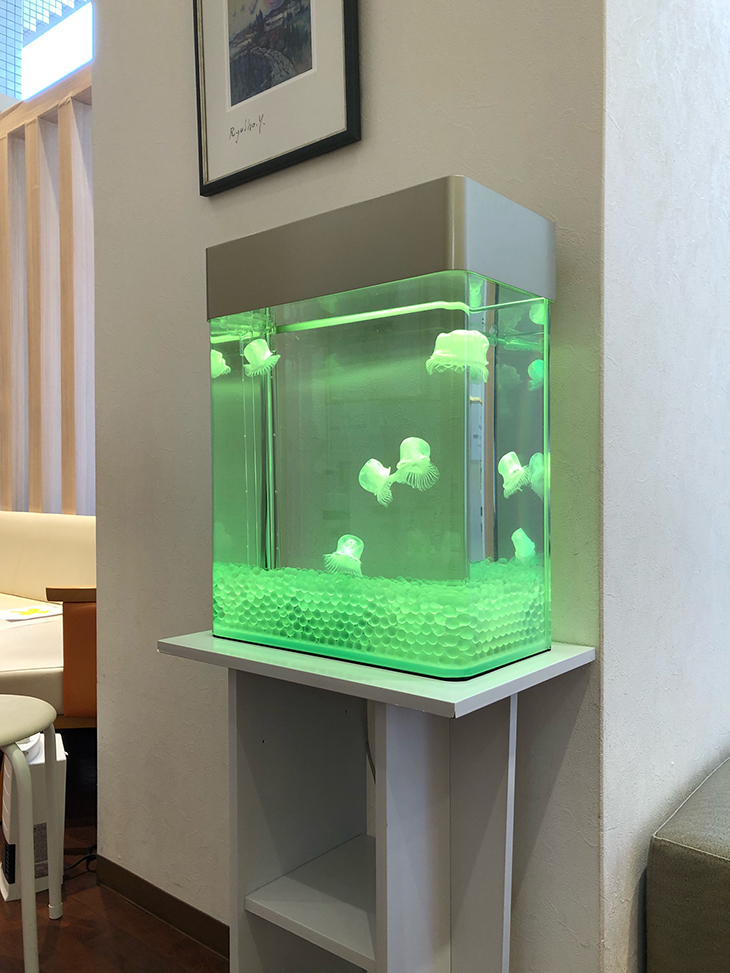 人工クラゲ水槽