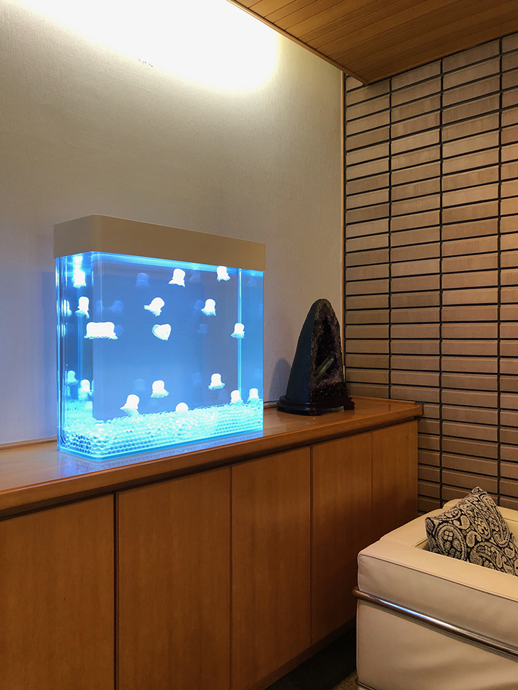 人工クラゲ水槽