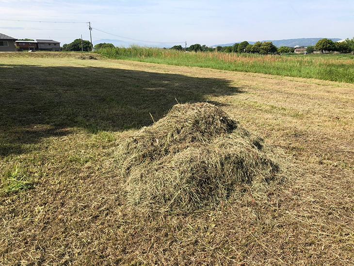 平城宮跡の草刈り