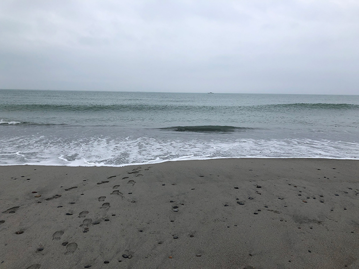 浜松の海