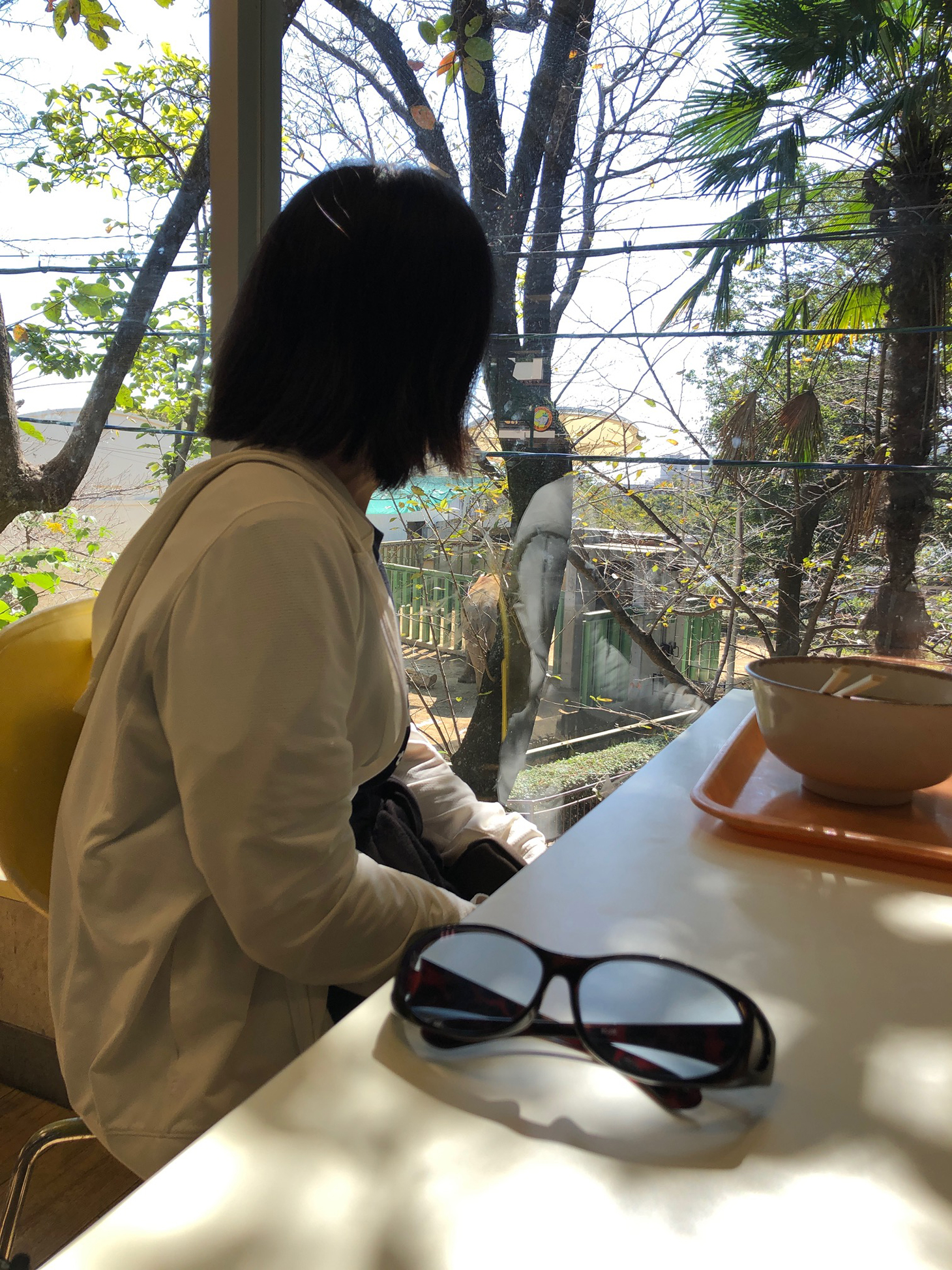王子動物園