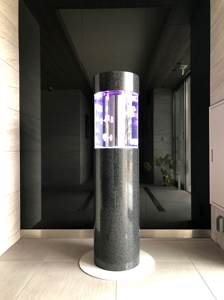 マンションのレンタル水槽