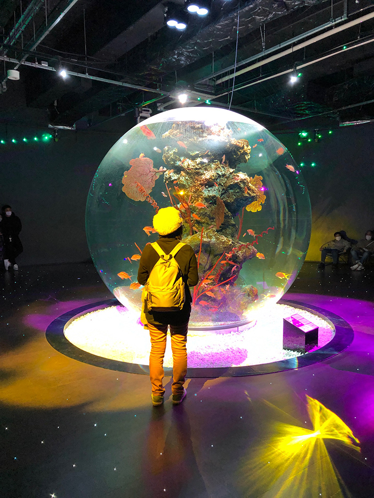 神戸の水族館