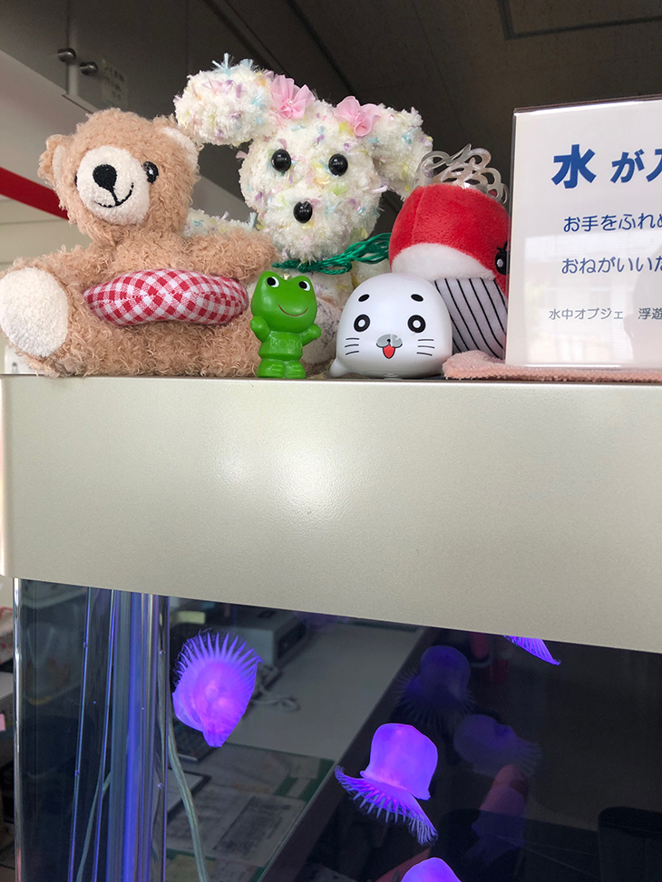 人工クラゲとぬいぐるみ