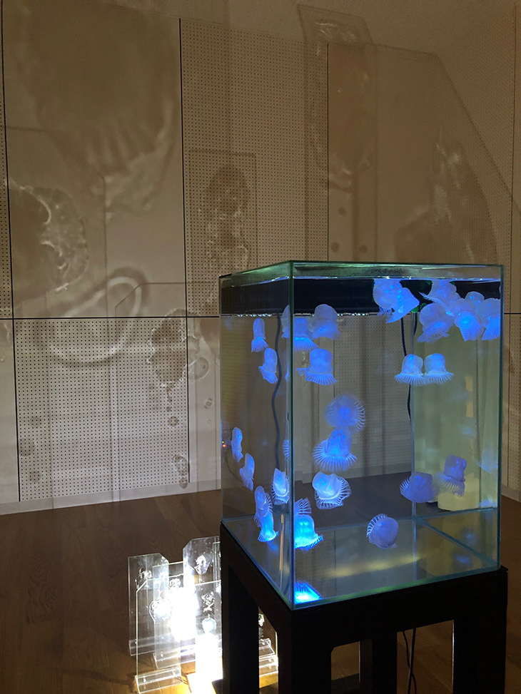 なら歴史芸術文化村での企画展