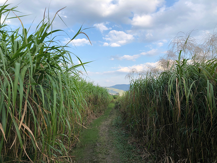 平城宮跡