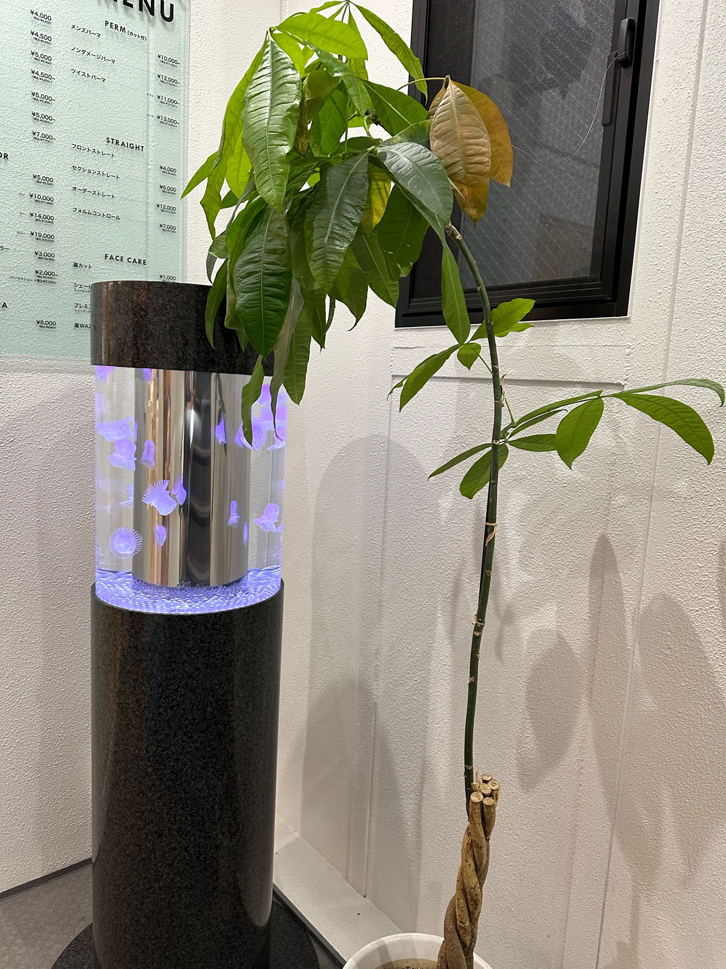 人工クラゲのレンタル水槽