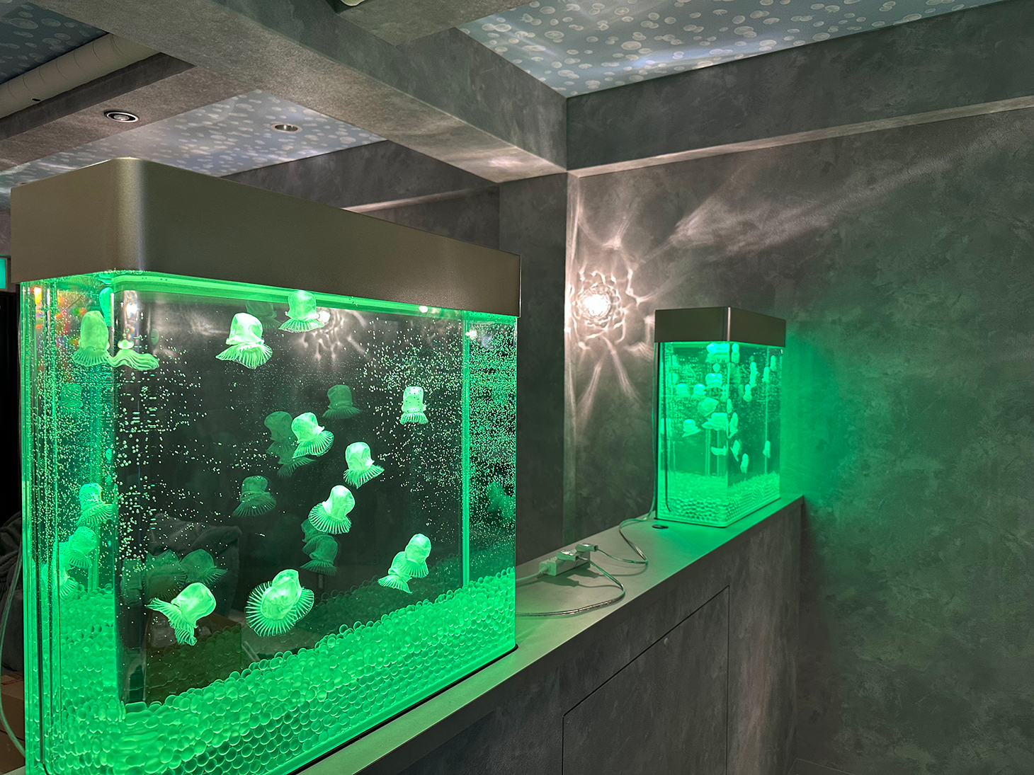 九州のお店の人工クラゲ水槽レンタルセット